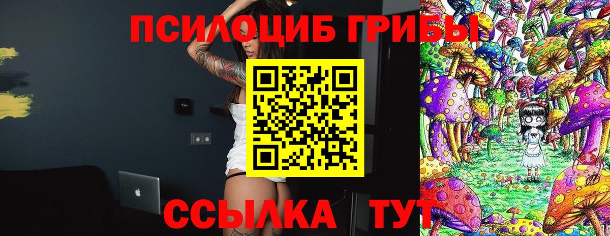 Барабинск  Галлюциногенные грибы прущие грибы  Вход с VPN 
